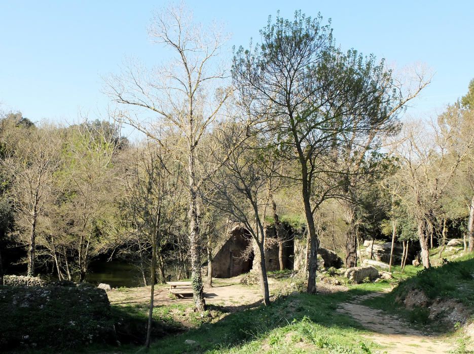 Els molins a tocar la Muga a Pont de Molins