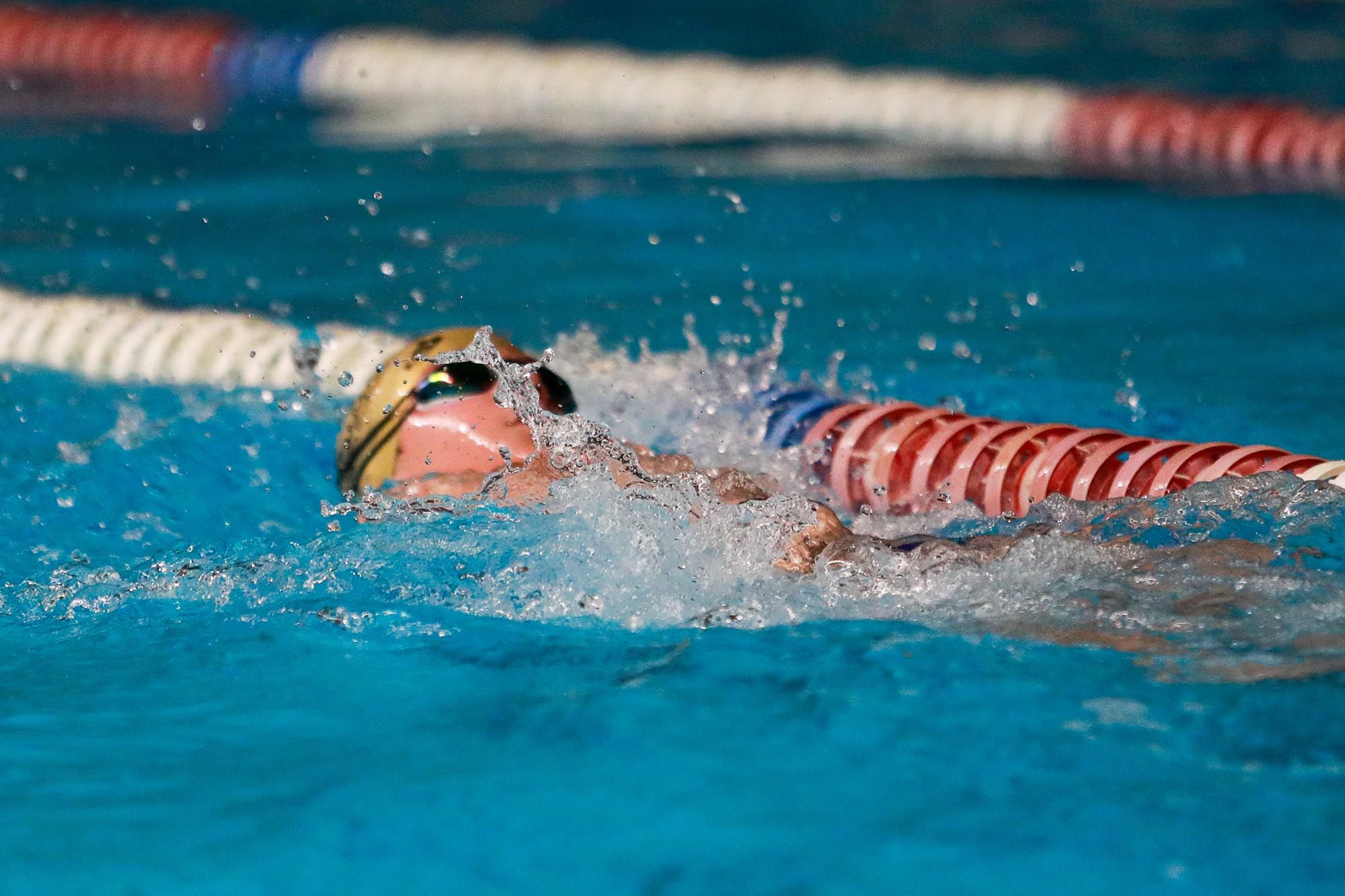 Trofeo Portus de Natación