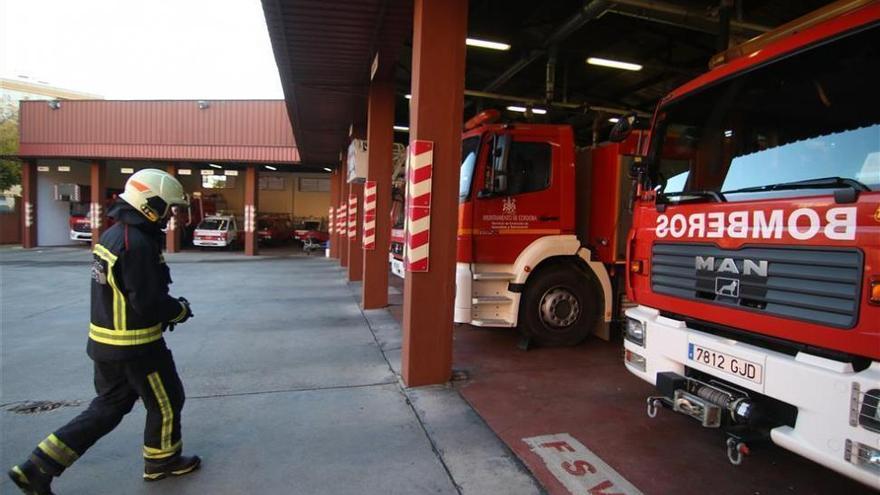 Los bomberos retiran un árbol caído sobre coches en la avenida Miguel de Unamuno