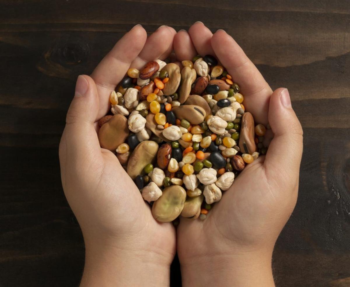 Un niño con un puñado de legumbres en sus manos. | | FREEPIK