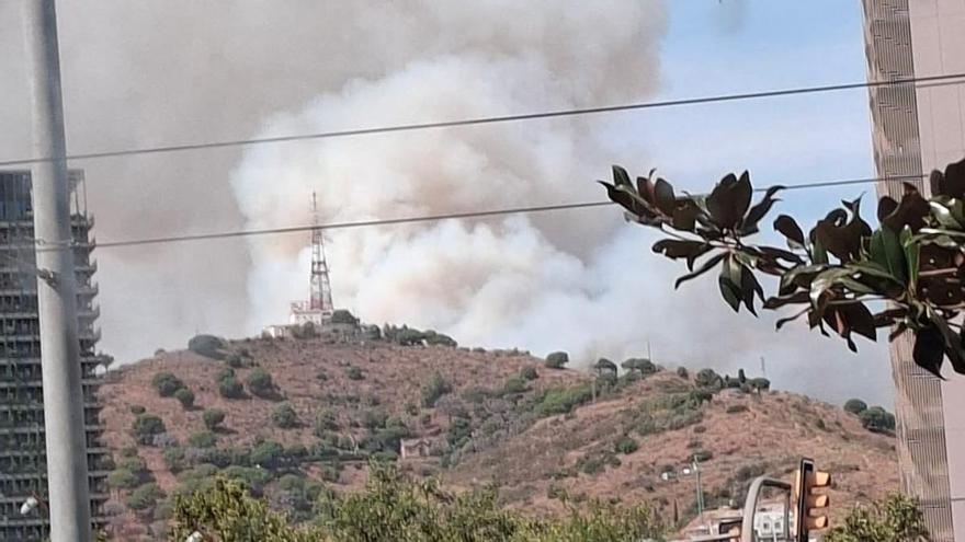 Declarat un incendi forestal a Collserola