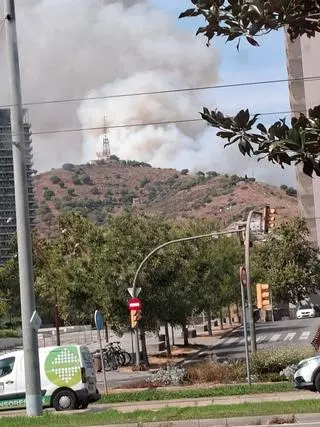 Declarat un incendi forestal a Collserola