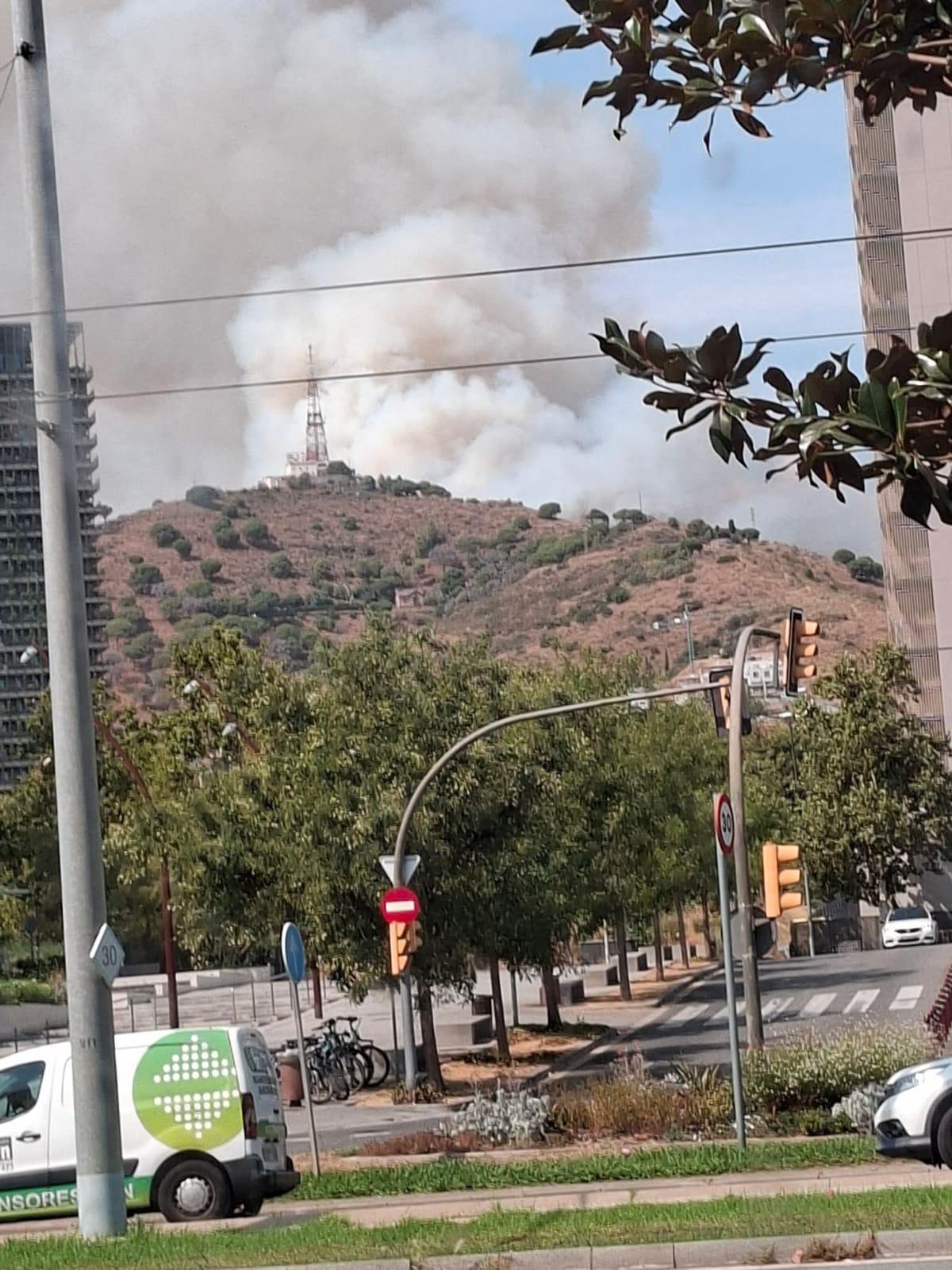 Incendio forestal en el Parque Natural de Collserola, en la montaña de Sant Pere Màrtir**