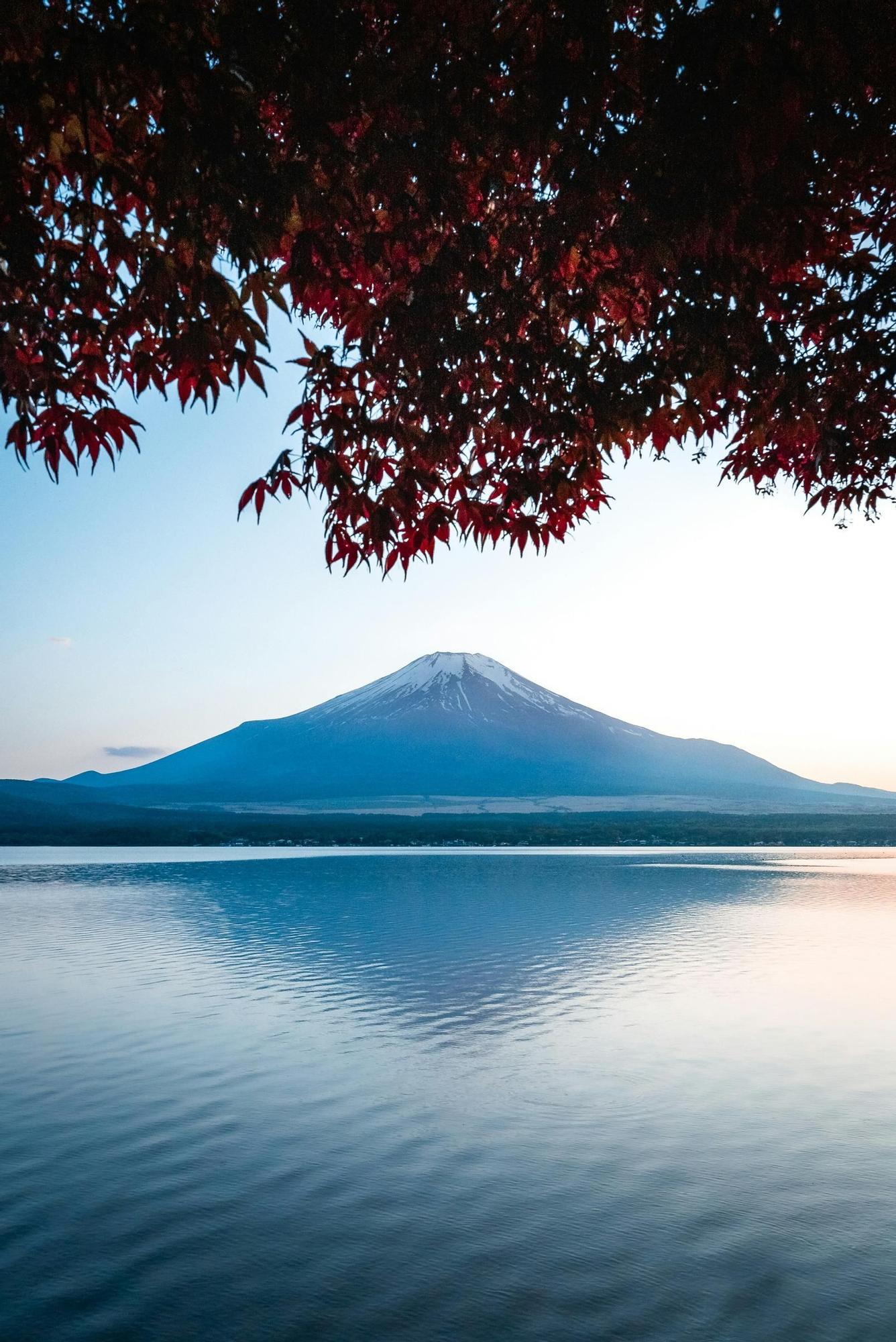 Muchos viajeros van a Japón para ver el monte Fuji.