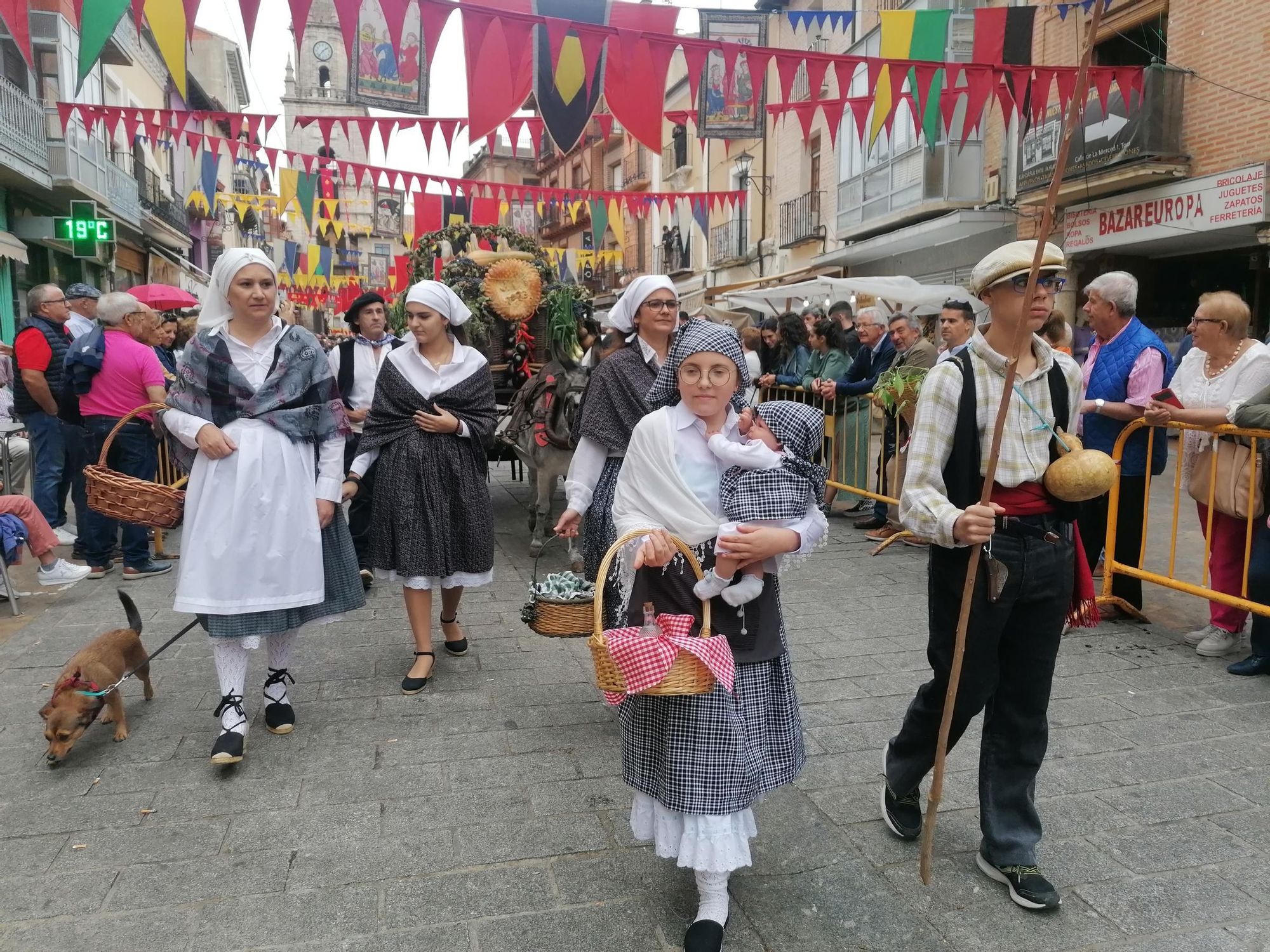 GALERÍA | Toro recrea la vendimia tradicional en el desfile de carros