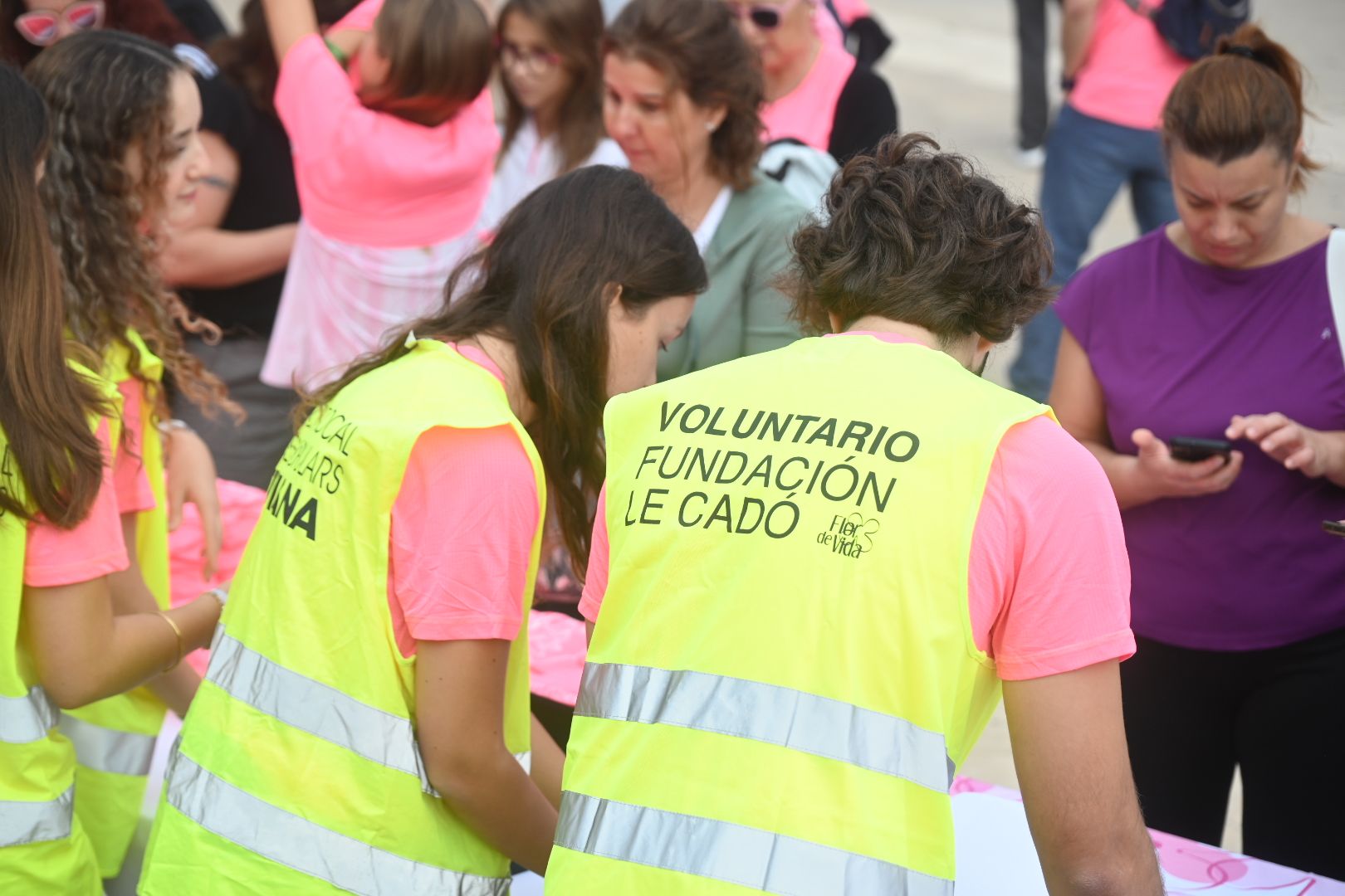 Galería de imágenes: Marcha solidaria contra el cáncer de mama 'Un Paseo por la Vida Castelló 2024'