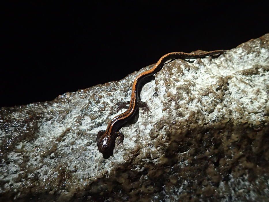 As Covas do Folón, un tesoro granítico en Coruxo