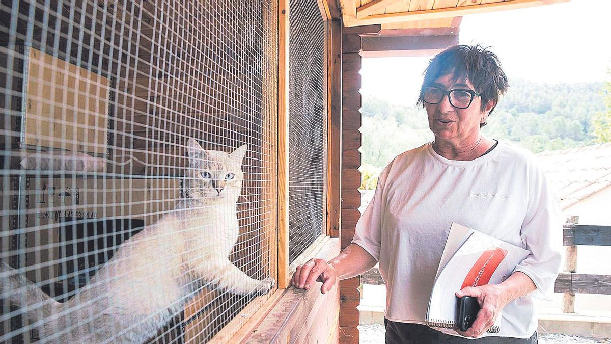 Rafaela González amb un dels molts gants de la protectora