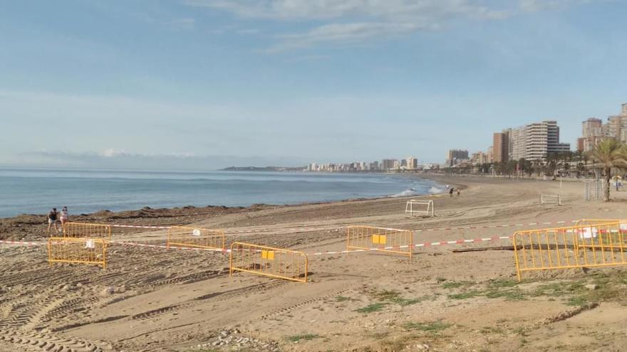 El Campello habilita en la playa de Muchavista un tercer canal de acceso al mar para nadar