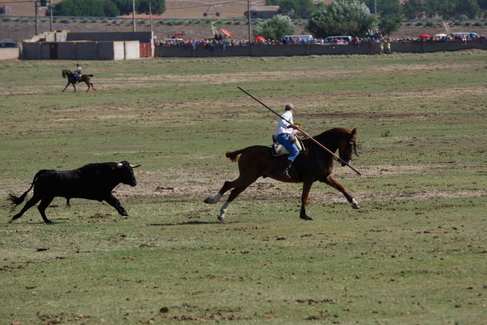 Espante de Fuentesaúco 9-7-2017