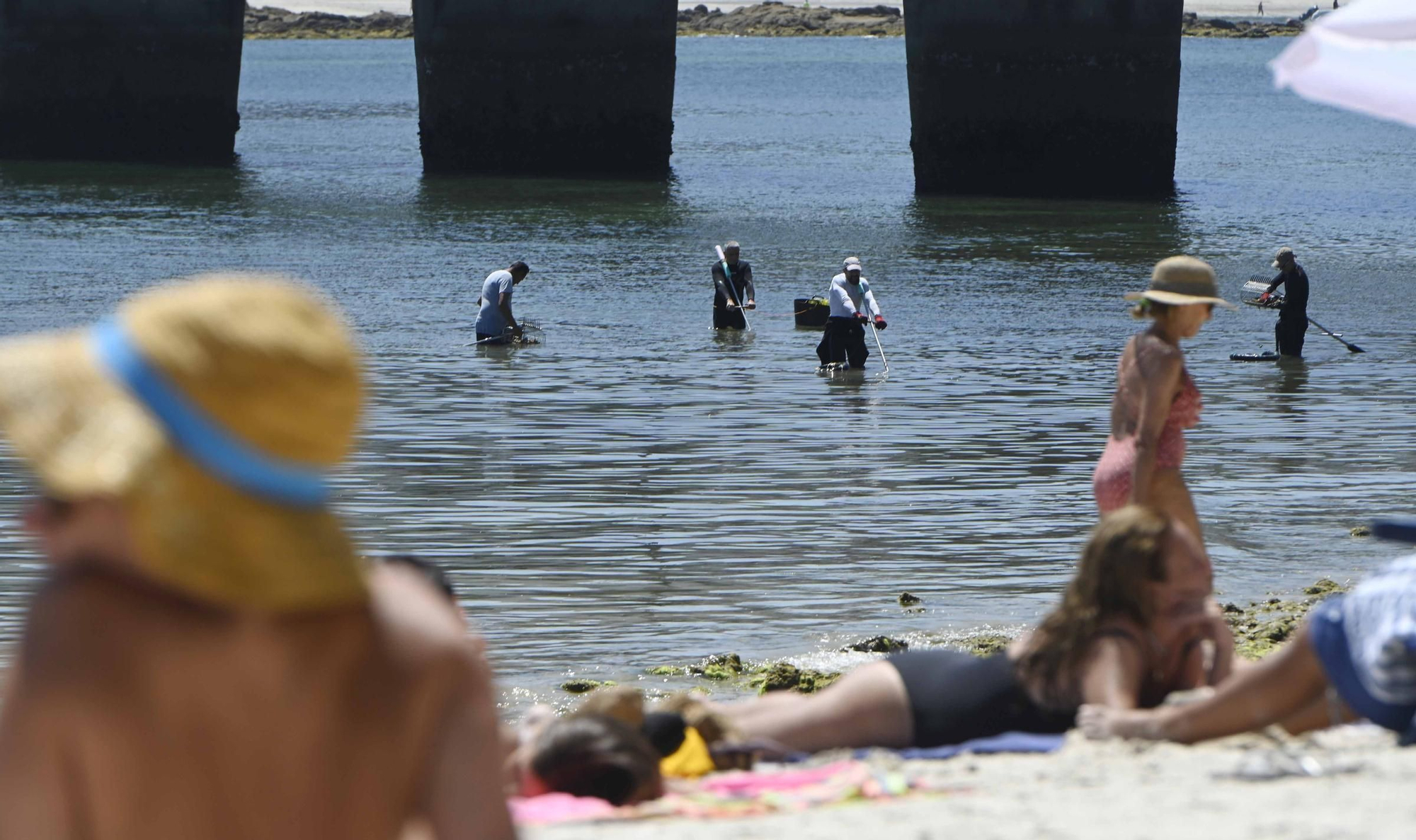 Lección de marisqueo para bañistas