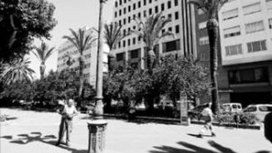 Operarios municipales podan las palmeras de San Francisco
