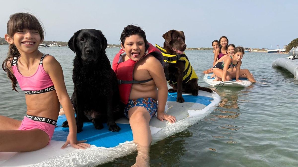 Niños y perros al agua: inclusión a través del juego y las olas en Formentera