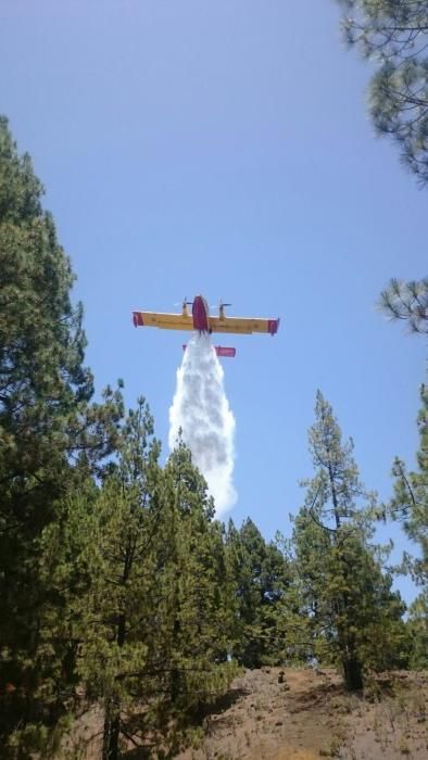 Incendio forestal en la zona de Montaña de Jedey, en La Palma