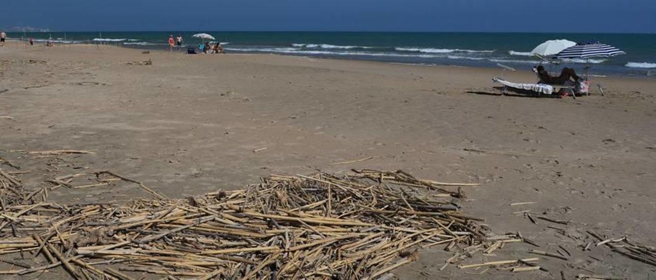 Las bolsas de  la compra van a más en el medio marino y bajan los restos de madera