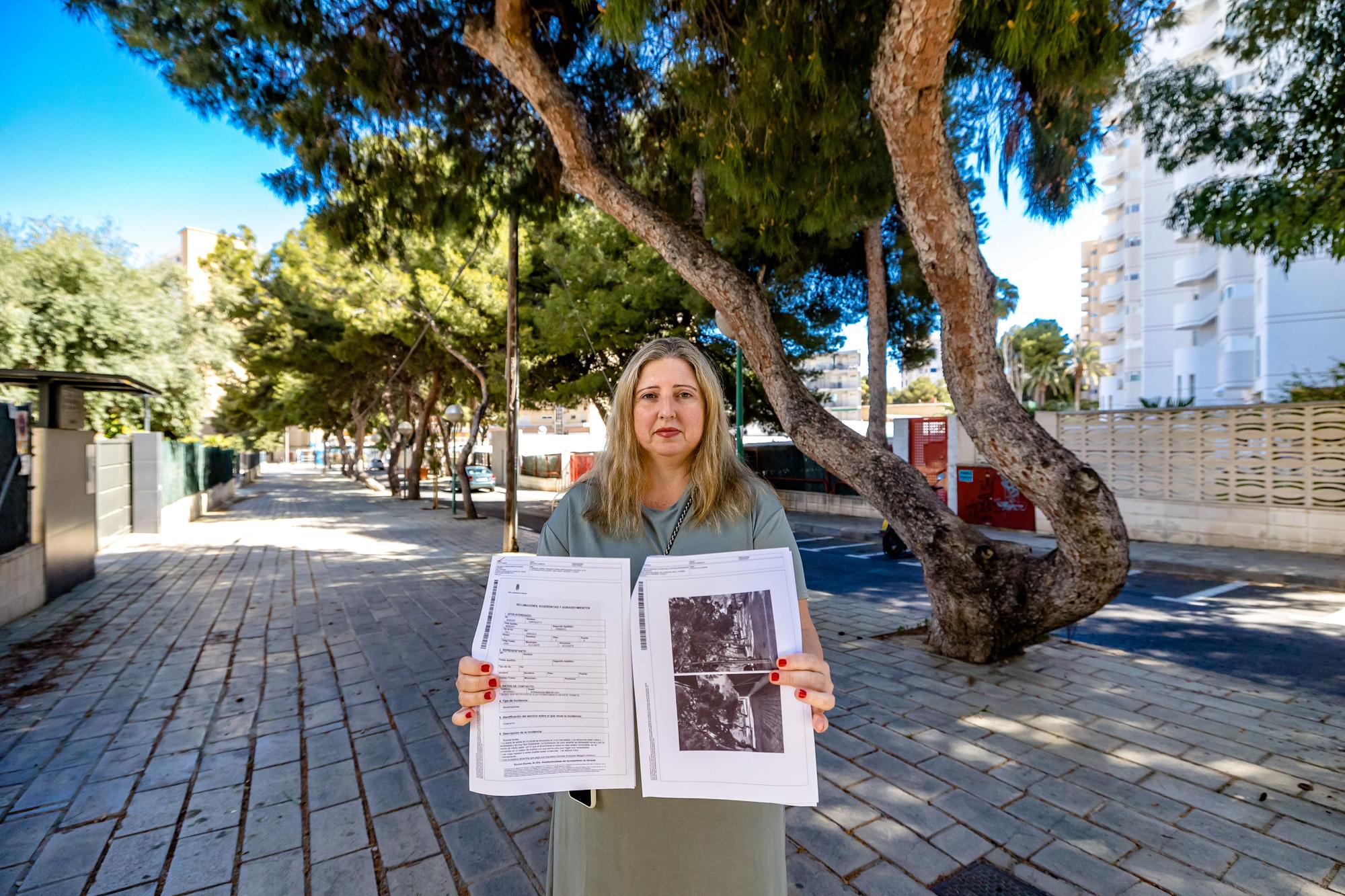 Un bosque invade una calle de la Playa de San Juan