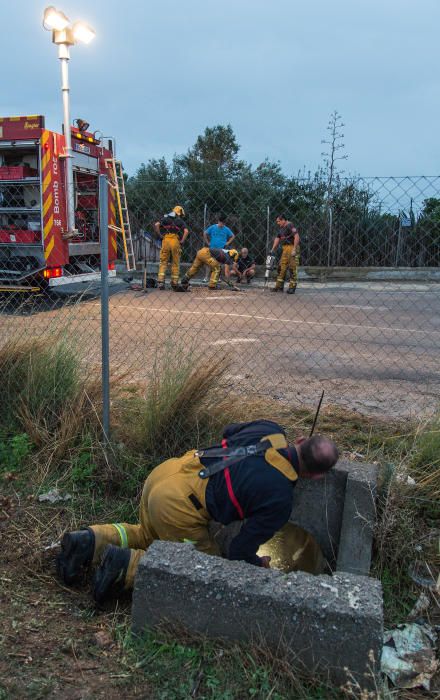 Rescatan a una cabra tras varios días atrapada en un desagüe