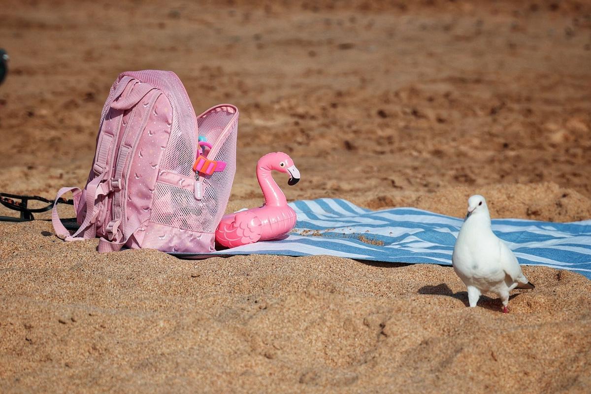 Jornada de fuerte calor en Tenerife (25/05/2026)