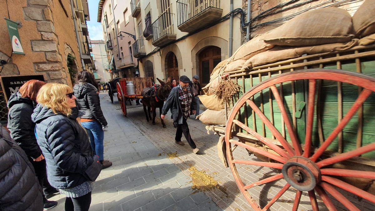 Una imatge de la Festa dels Tres Tombs de l'any passat