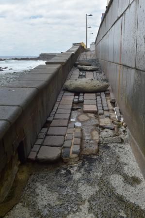 05-08-2019 LAS PALMAS DE GRAN CANARIA. Deterioro del Paseo de San Cristobal  | 05/08/2019 | Fotógrafo: Andrés Cruz