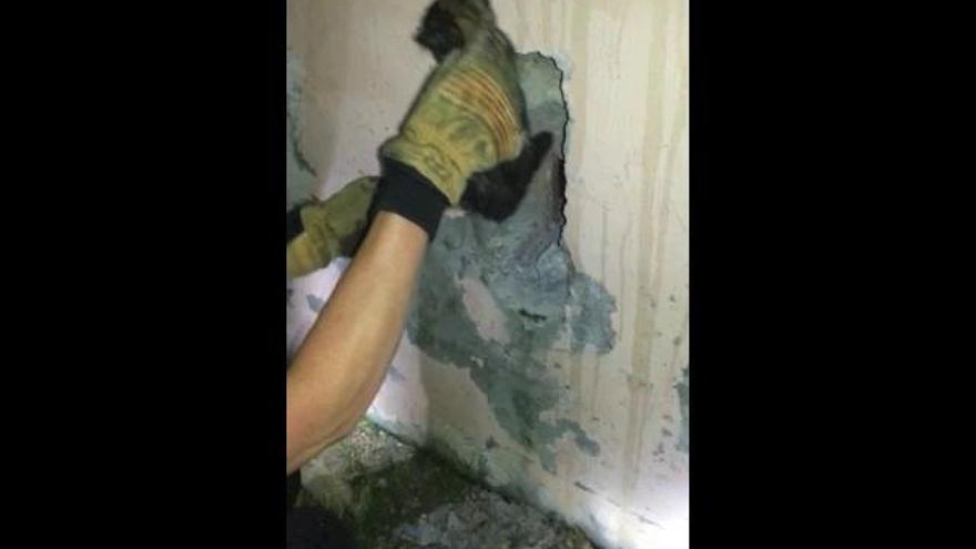 Rescatan a un gato que llevaba un día "empotrado"  en una pared en Torrevieja