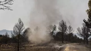 Tolvaneras o remolinos de polvo: los pequeños tornados que se pueden ver en la zona quemada en Teresa de Cofrentes