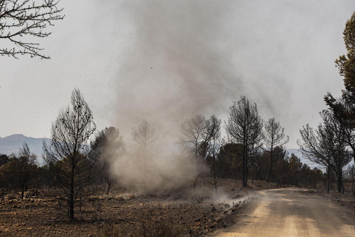 Imagen de la tolvanera que se ha podido ver en la zona quemada por el incendio de TEresa de Cofrentes