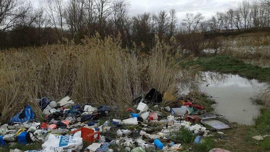 Basura y residuos acumulados en un paraje situado en las inmediaciones de las riberas del río.