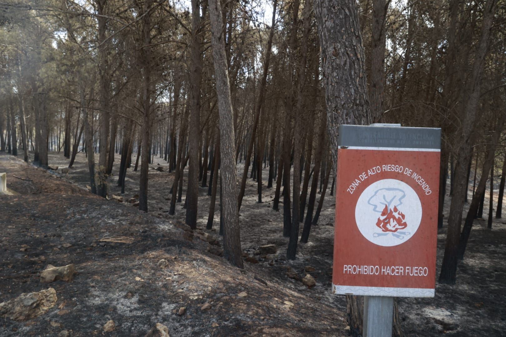 Las consecuencias del incendio de Bejís en Teresa