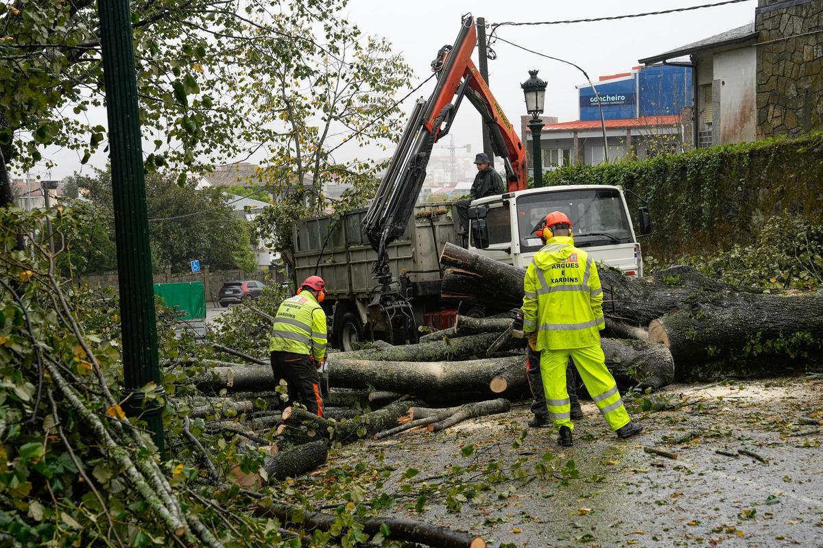 Retirada de árboles caídos en O Castro, en Vigo.