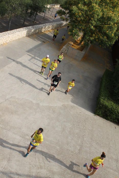 Cuarta Carrera en Manada de Bioparc