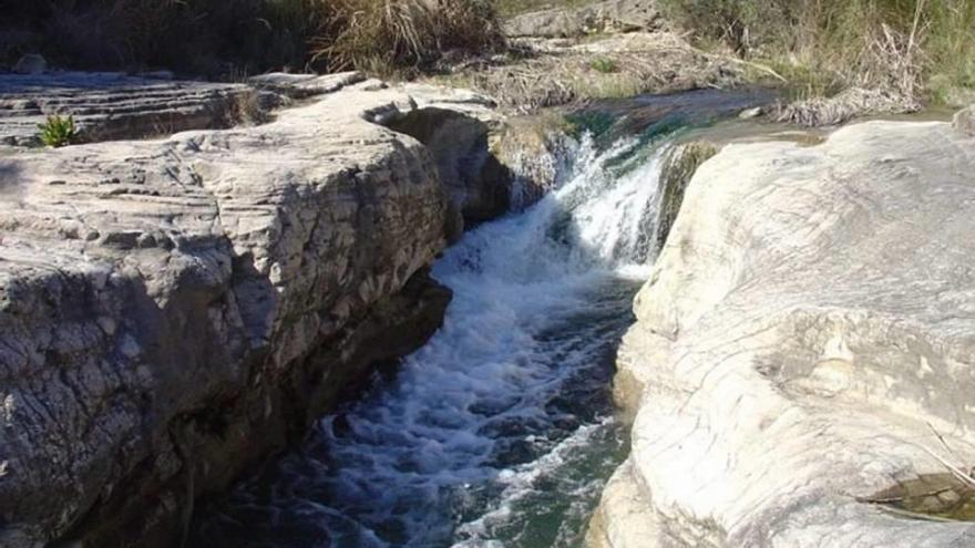 Hallan decenas de peces muertos en el Estrecho de Bolvonegro