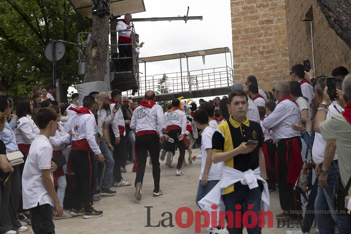 Fiestas de Caravaca | Desfile infantil del Bando de los Caballos del Vino