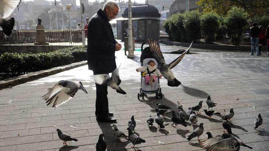 Un abuelo da de comer a las palomas en Riazor mientras cuida de su nieto.