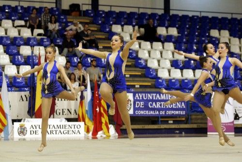 Campeonato de España de Gimnasia Estética