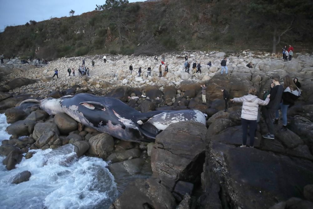 La ballena varada de Oia