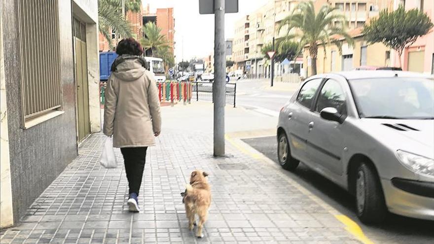 Nules pedirá pruebas de ADN para identificar las heces de los perros