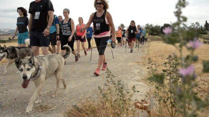 Participants ahir en la caminada organitzada per Decathlon i el Grup Excursionista Posa&#039;t en Marxa