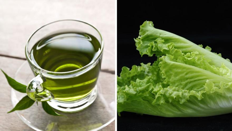 Cómo hacer té de lechuga para bajar el colesterol