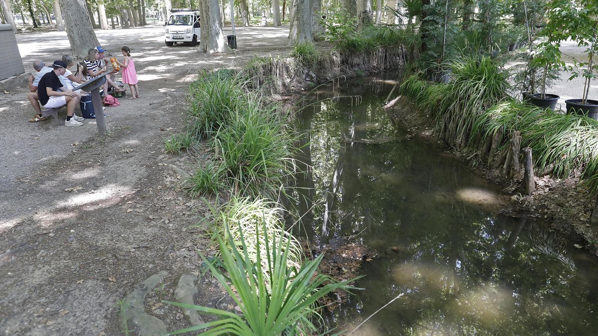 El canal dels jardins de la Devesa, ple d'aigua.