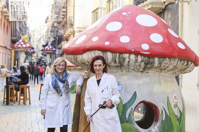 La óptica Torregrosa, impulsora de la "calle de las setas", cierra tras 56 años en Alicante