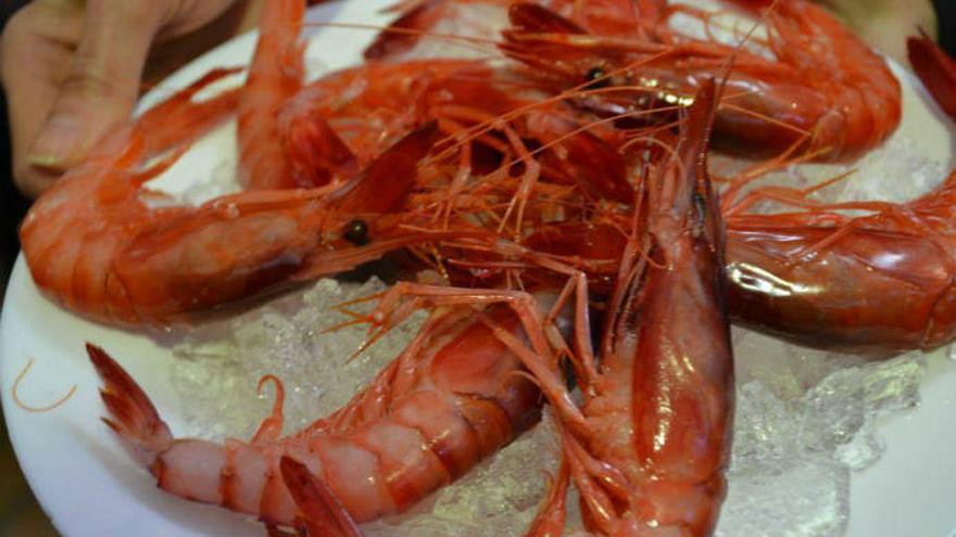 Gamba roja de Dénia