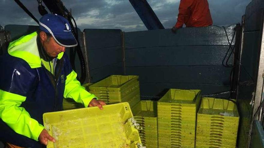 Una jornada de pesca de sardina en un cerquero.