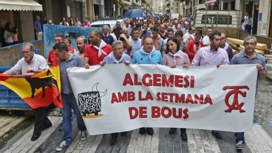 La alcaldesa de Algemesí encabeza la marcha a favor de los «bous al carrer»
