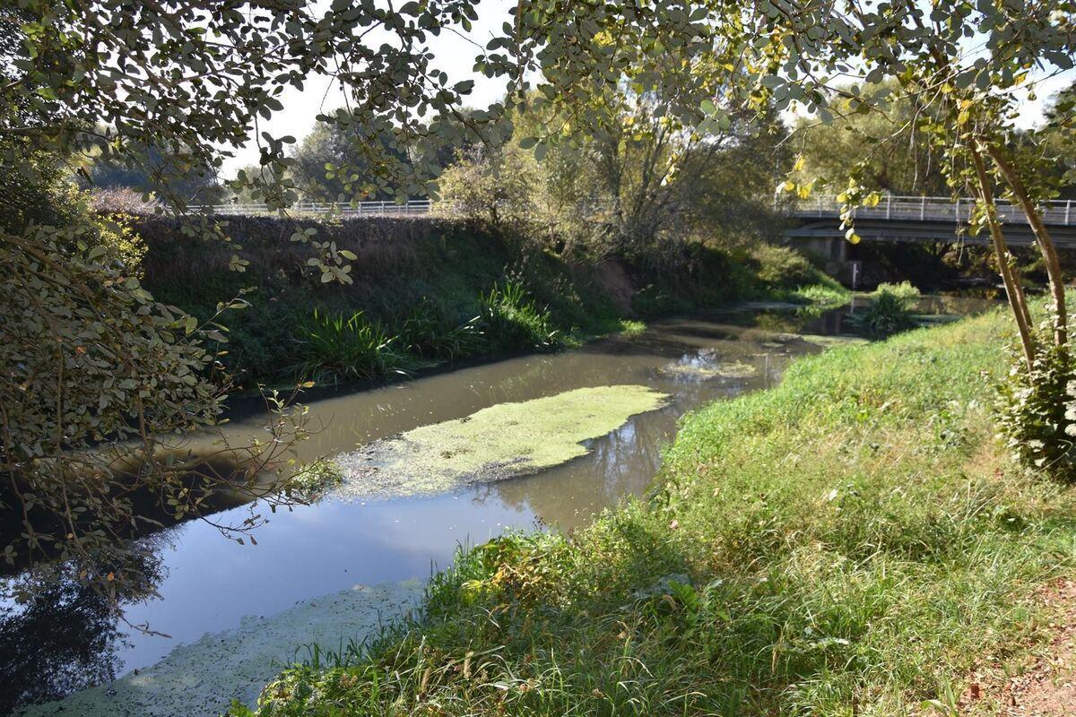 Un anterior episodio de turbidez del río Sar a su paso por A Condomiña, en Ames