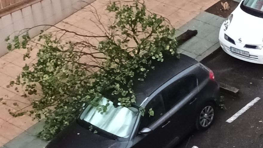 Un árbol cayó sobre un turismo en una calle de Vilagarcía.