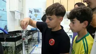 Alumnes de l'institut-escola de Cadaqués crien ous de tauró gat capturats accidentalment per pescadors