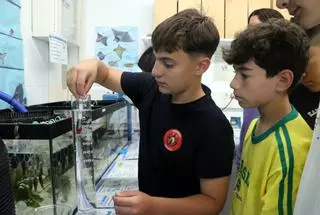 EN IMATGES | Alumnes de l'institut-escola de Cadaqués crien ous de tauró gat capturats accidentalment per pescadors