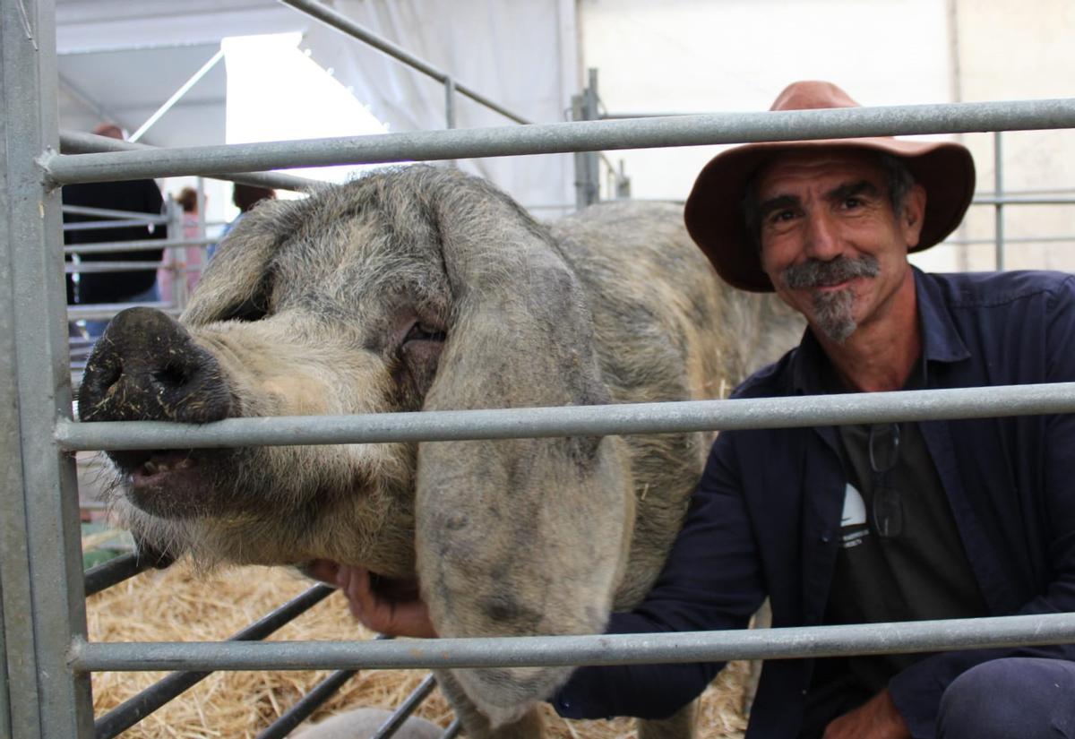 Javier García, con uno de sus gochos asturceltas el año pasado