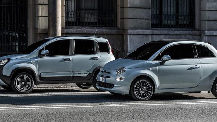 Fiat 500 y Panda